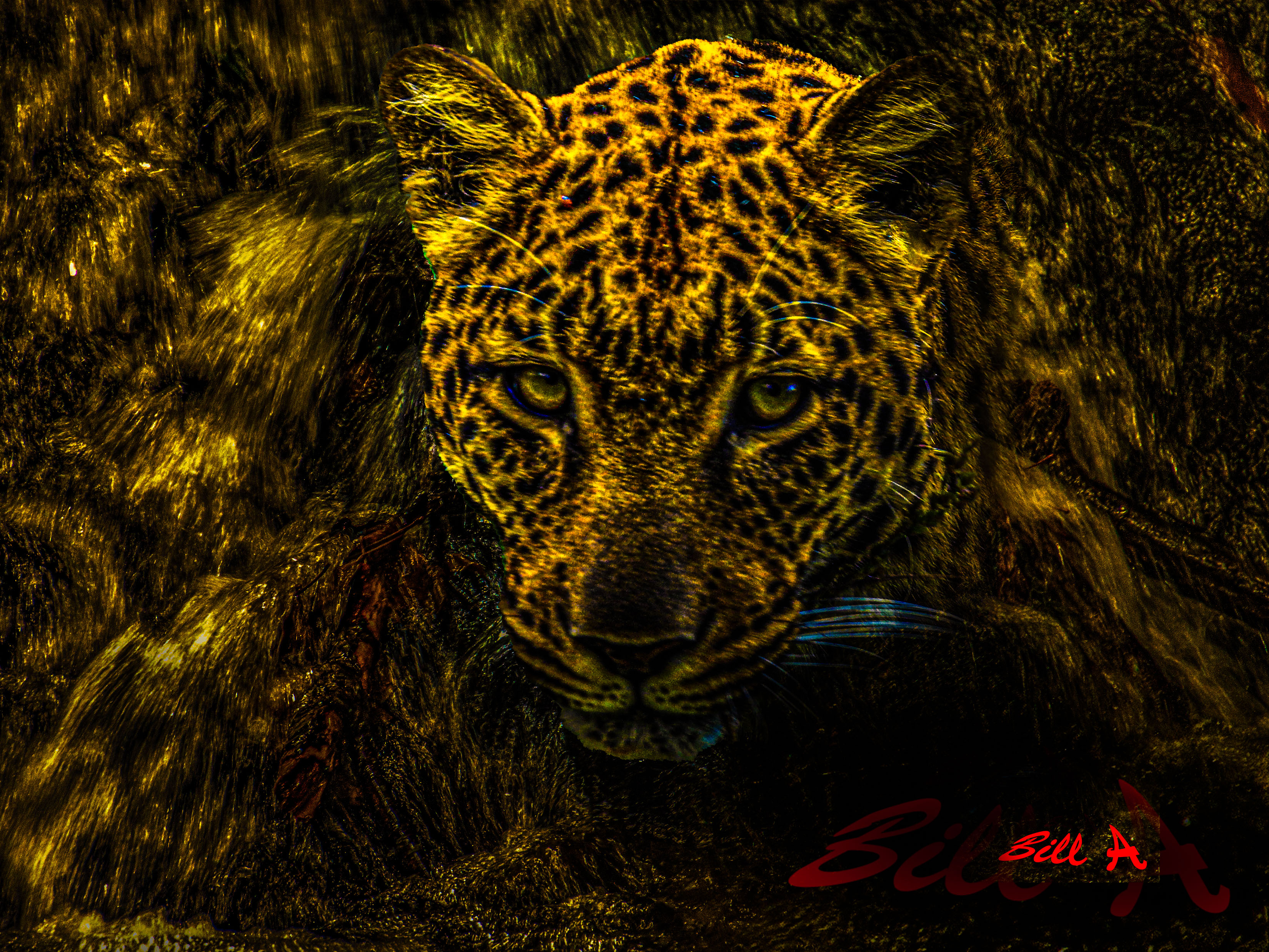 art image