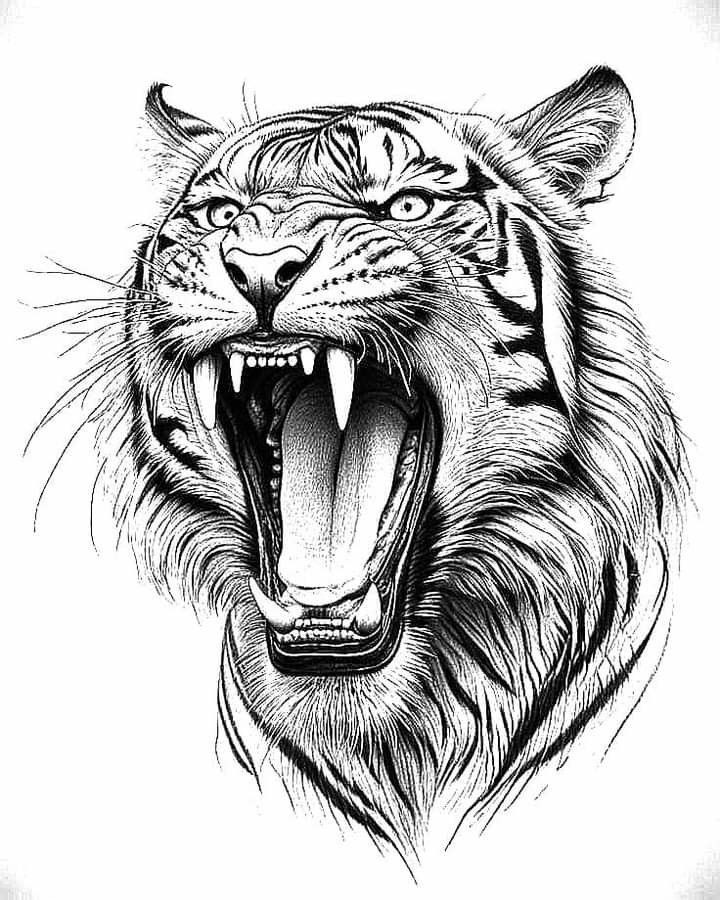 art image